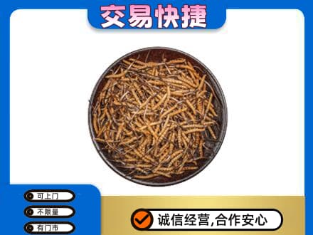 宁德礼品回收虫草.jpg